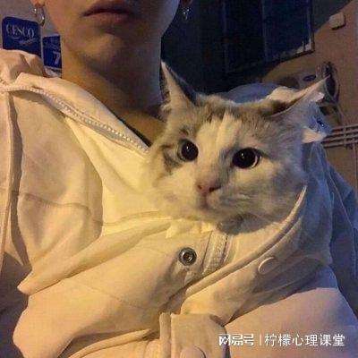 雄霸乱世变态版下载