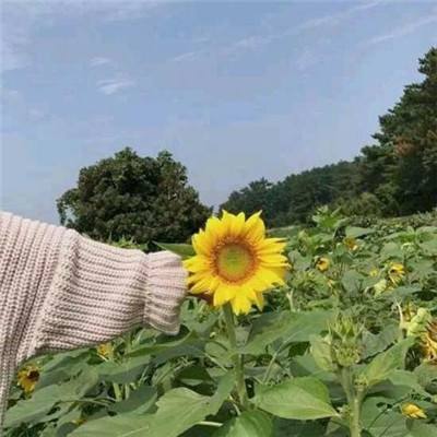 御剑闯江湖游戏
