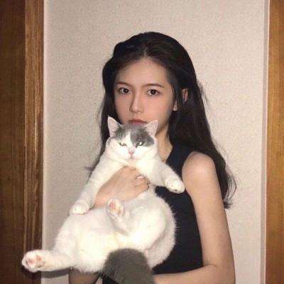 王者之魂bt版下载